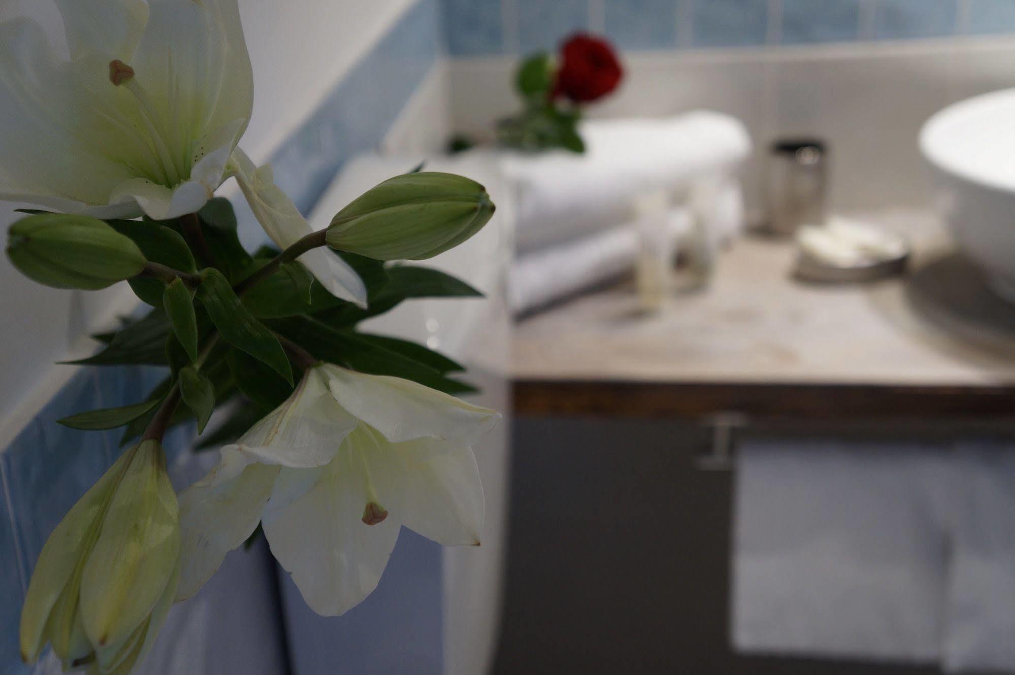 רומא Jacuzzi Rooms מראה חיצוני תמונה